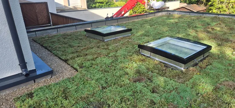 Toiture terrasse végétalisée équipée de deux lanterneaux vitrés